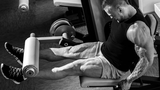 Dosage de la Boldenone : Guide Complet Dosage de la Boldenone : Guide Complet